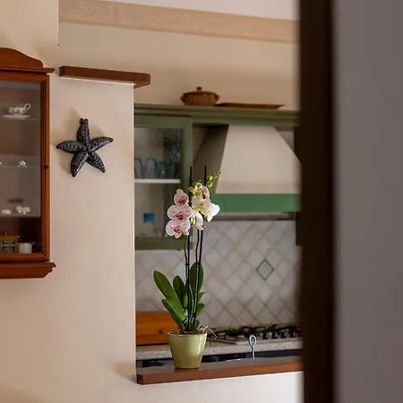 Vakantiehuis Tra Tetti E Mare - Helloelba *