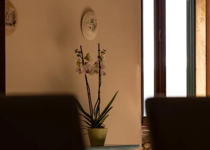 Vakantiehuis Tra Tetti E Mare - Helloelba Portoferraio