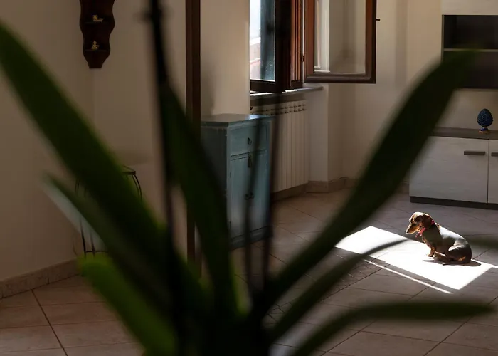 Tra Tetti E Mare - Helloelba *