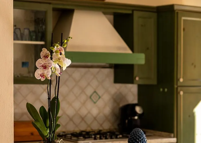 Tra Tetti E Mare - Helloelba